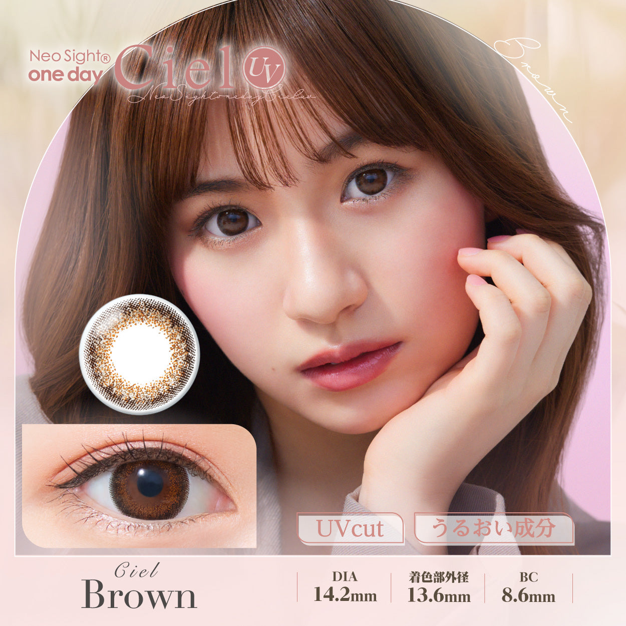 ネオサイトワンデーシエルUV 30枚