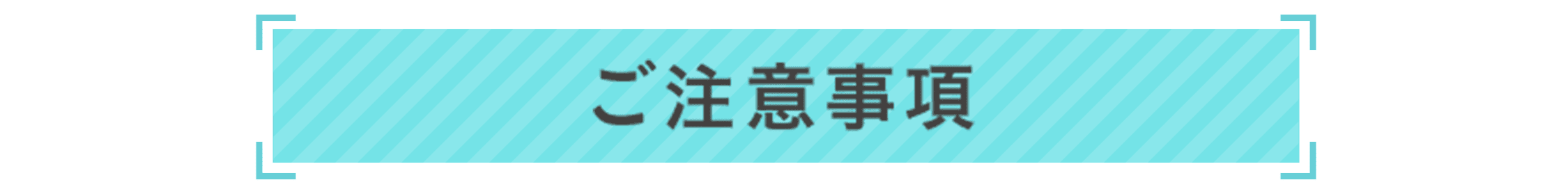 ご注意事項