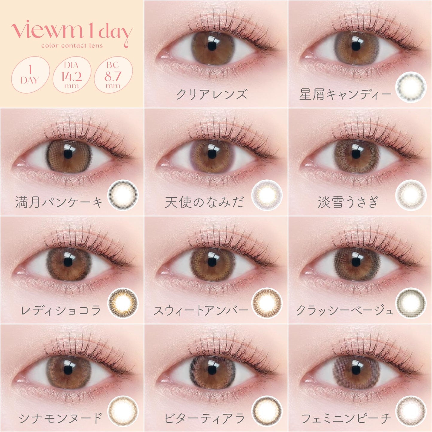 ビュームワンデー 10枚入