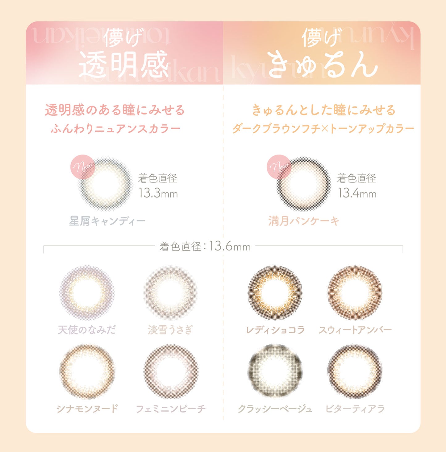 ビュームワンデー 10枚入