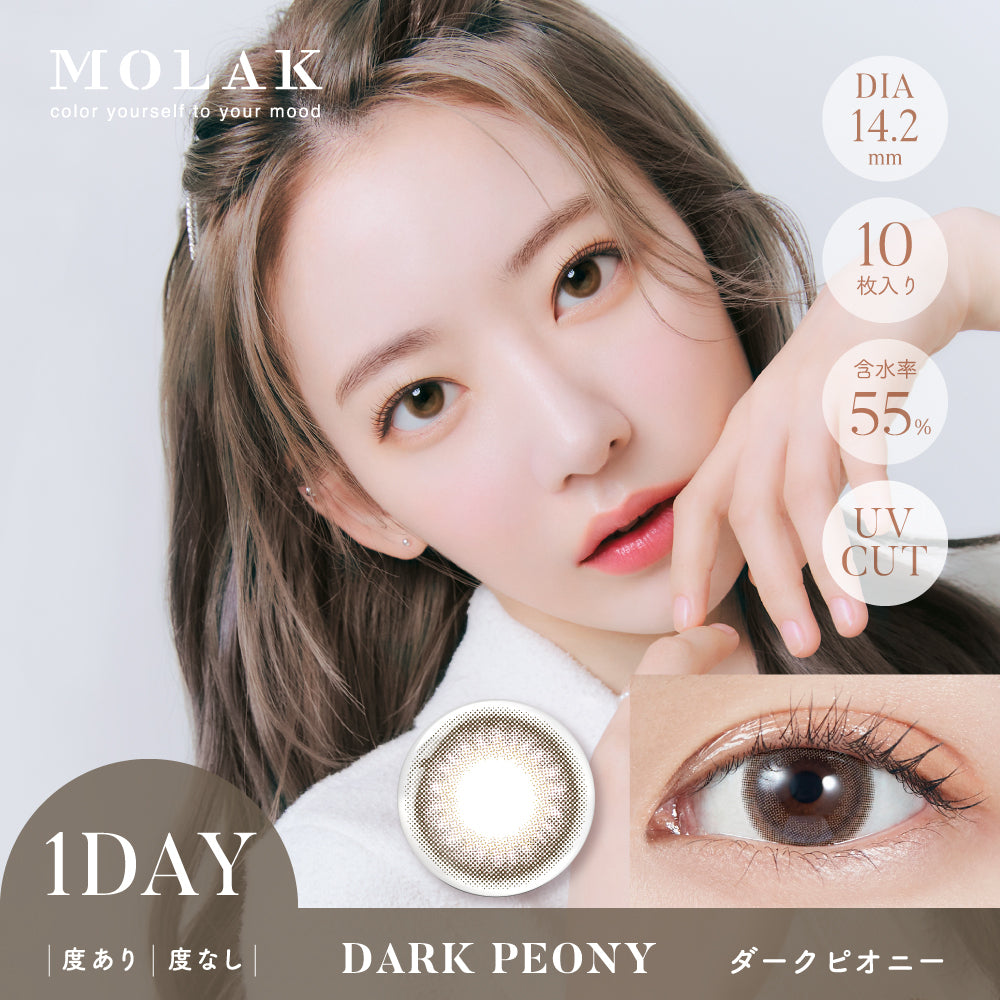 MOLAK 10枚入