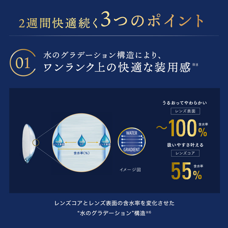 トータル14 乱視用 6枚入 （2week / 乱視用）